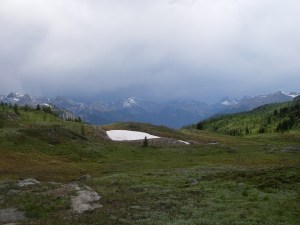 Snow pockets provide wet conditions, favoring species who compete well with plenty of moisture.