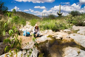 Predation pool, a tinaja in the Rincon Mountains. Julia posing next to the deer leg.