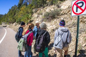 We collected 3 types of rock to test the effects of freezing and fire: schist, quartzite, and granite.