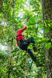 Alejandro learning to climb an access line into a 40m high canopy.