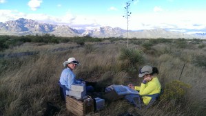 Lovely spot for some smammal research.