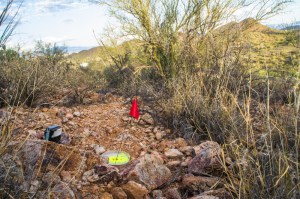 The protocol: Trays of seeds and fluorescent yellow powder are placed at sunset with a game camera to record who tracks the powder around.