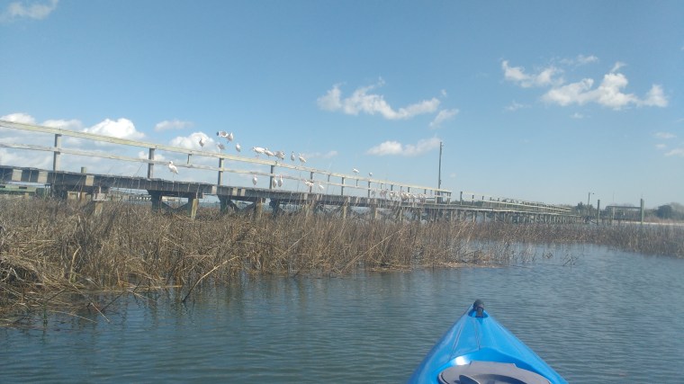 IMG_20180307_120402127